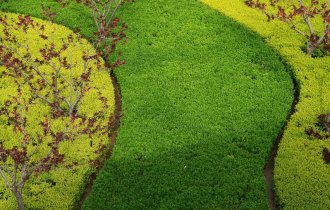 【工(gōng)程管理(lǐ)】園林(lín)綠(lǜ)化(huà)養護中容易被忽視(shì)的(de)幾個(gè)點