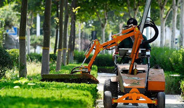 綠(lǜ)地(dì)養護