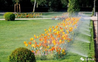 澆水(shuǐ)學三年(nián)，苗木(mù)澆水(shuǐ)的(de)學問(wèn)大(dà)著(zhe)呢(ne)！