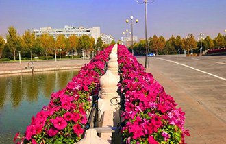 匠(jiàng)心鑄就(jiù)精品 專業(yè)締造美(měi)好(hǎo)|陽光(guāng)園林(lín)"特色項目"驚豔亮(liàng)相(xiàng)